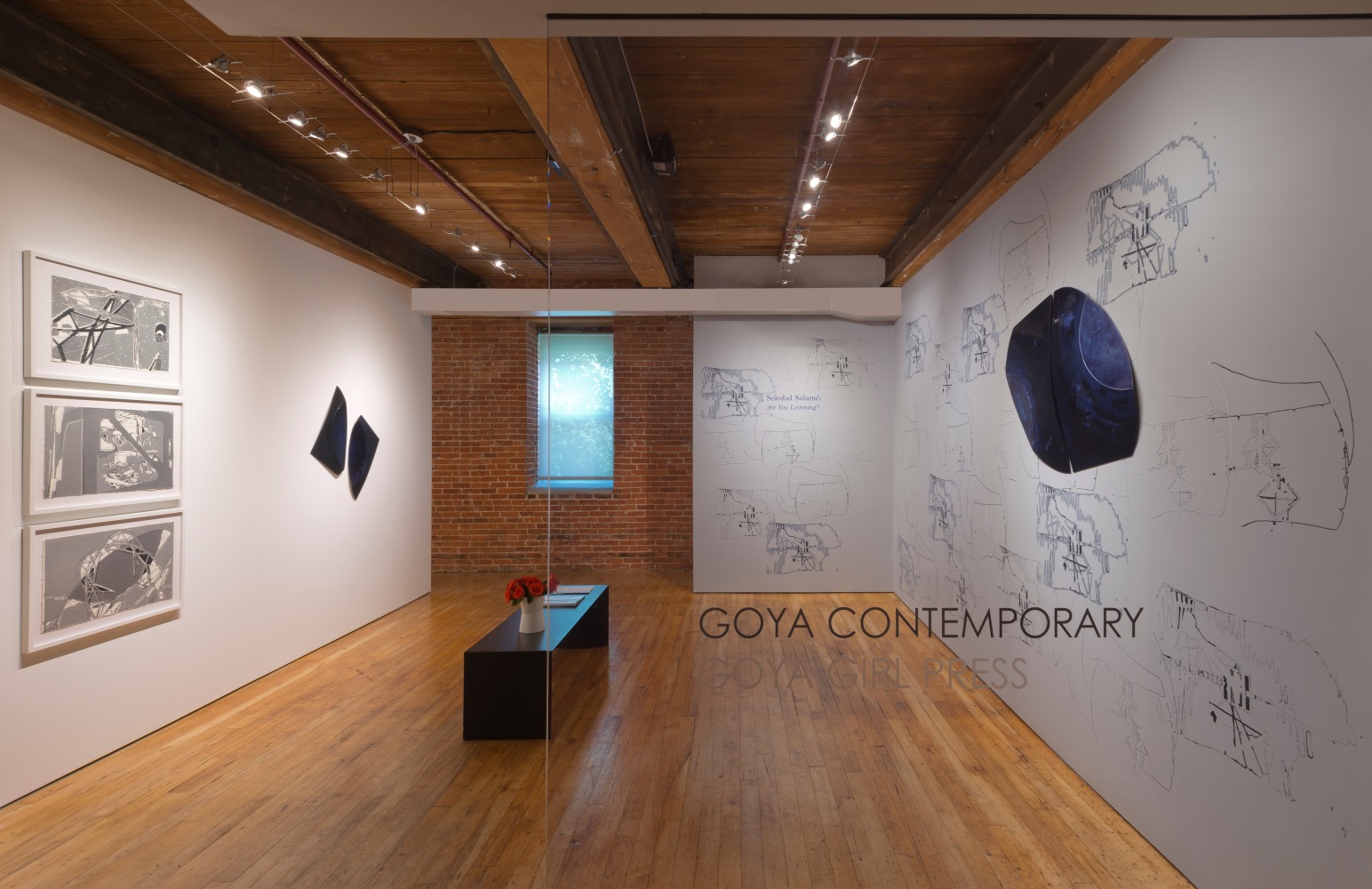 Soledad Salam&amp;eacute;: Are You Listening?&amp;nbsp;at Goya Contemporary, Baltimore, MD.