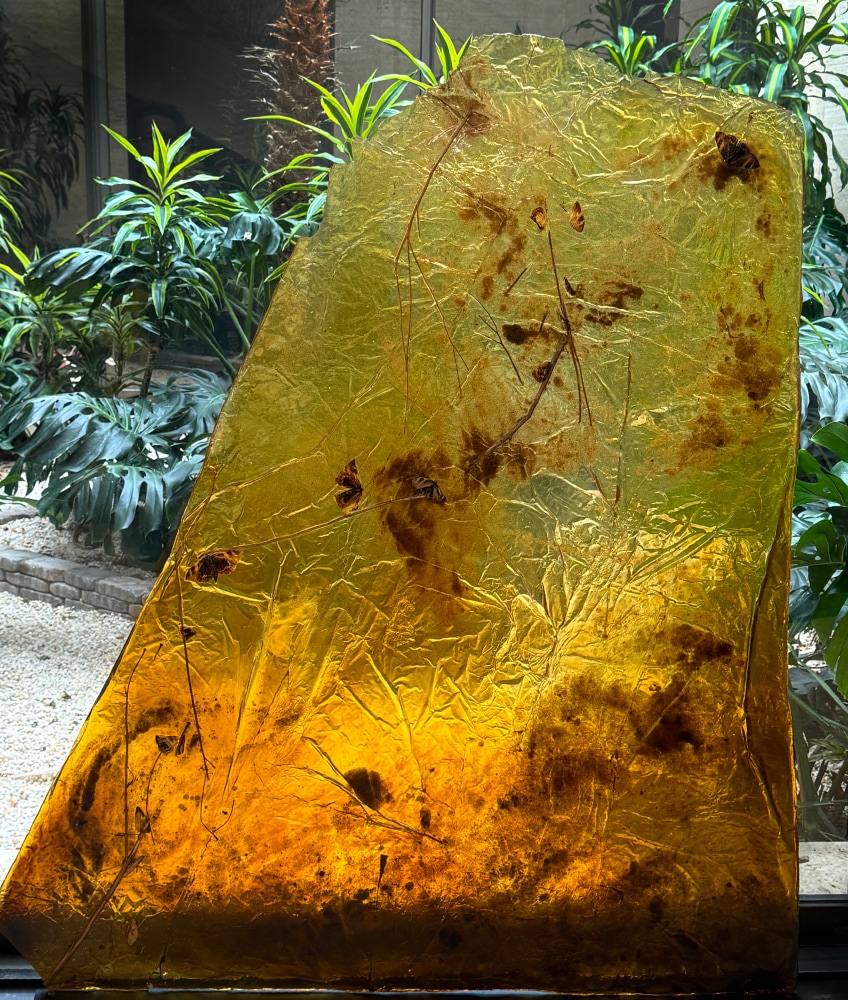 In Silence (from the In Silence Series),&amp;nbsp;2001-2002
Resin, insects
65 x 55 x 2 in. (165.1 x 139.7 x 5.1 cm)
Sala-1319-OS