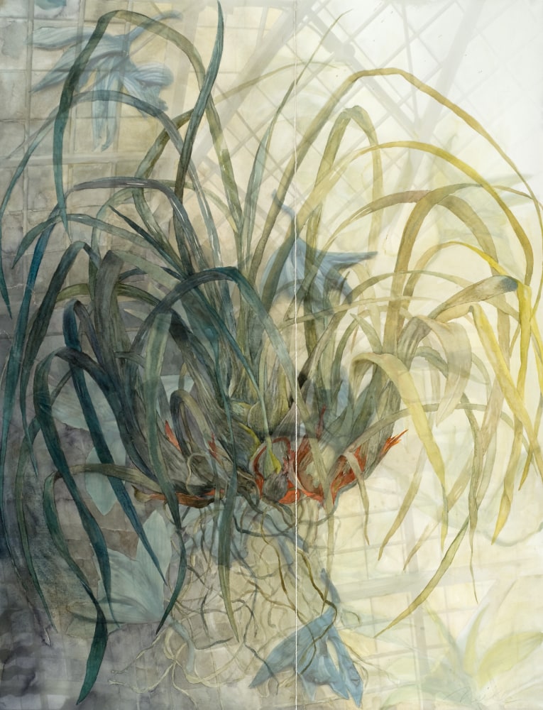 Orpheus&amp;#39; Orchid, 2011
Watercolor, Archival pigment prints on paper and plexiglass
47 x 36 in. (119.4 x 91.4 cm)
NEI-0078-C