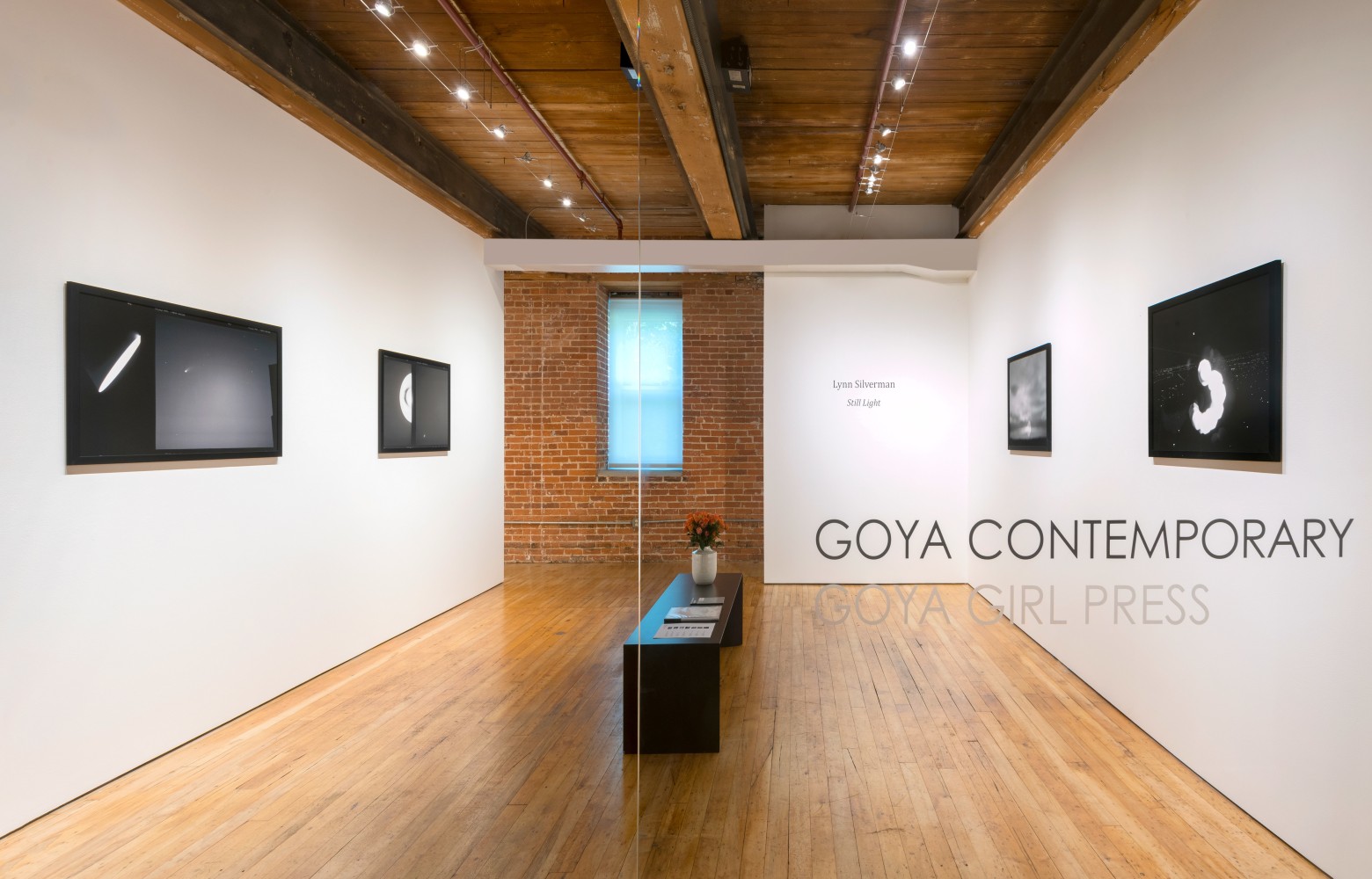 Lynn Silverman: Still Light&amp;nbsp;at Goya Contemporary, Baltimore, MD.