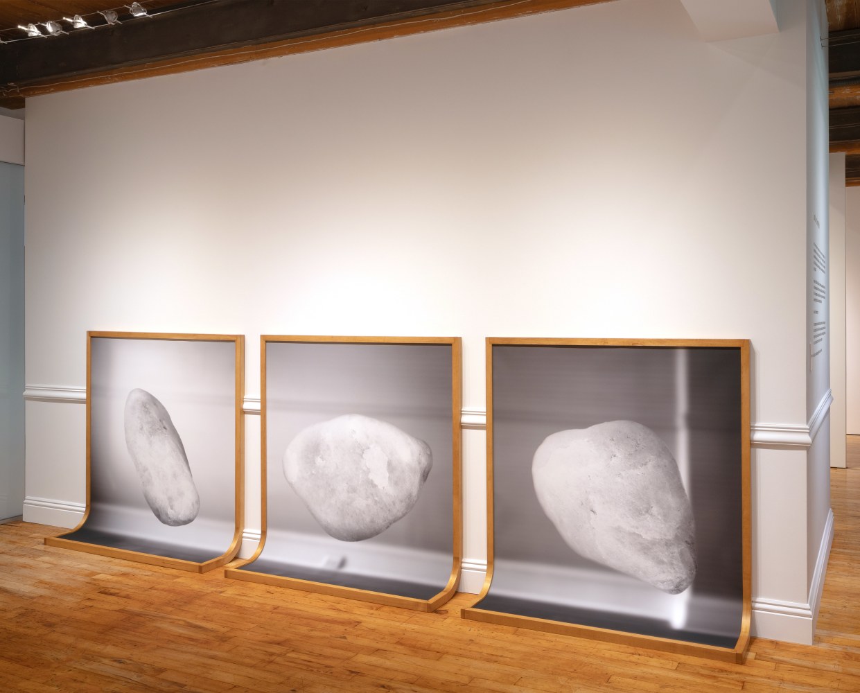 Liam Davis: Living With It at Goya Contemporary Gallery, Baltimore.