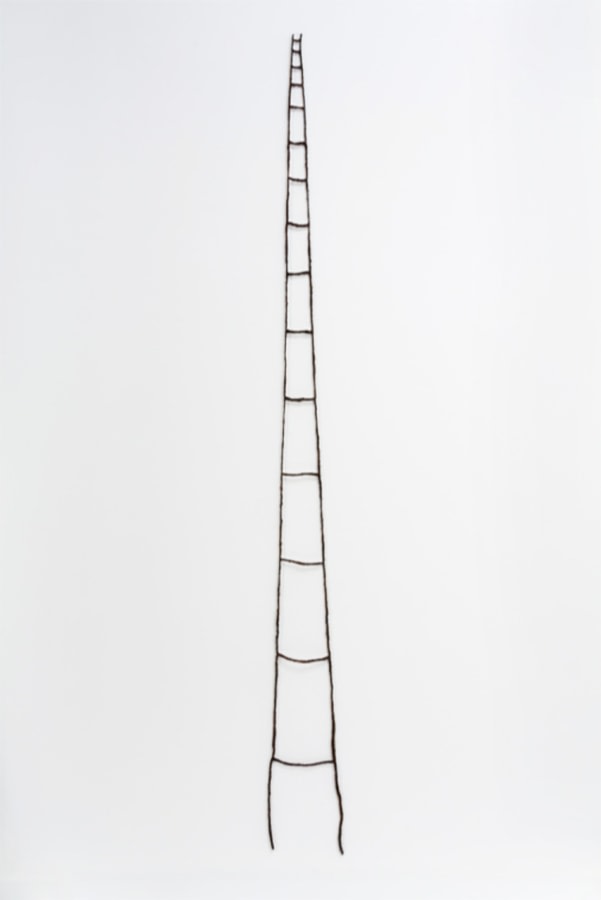 Sonya Clark

Hair Ladder,&amp;nbsp;2013

Human hair

108 x 8 in. (274.3 x 22.9 cm)

Clar-1005-C-OS