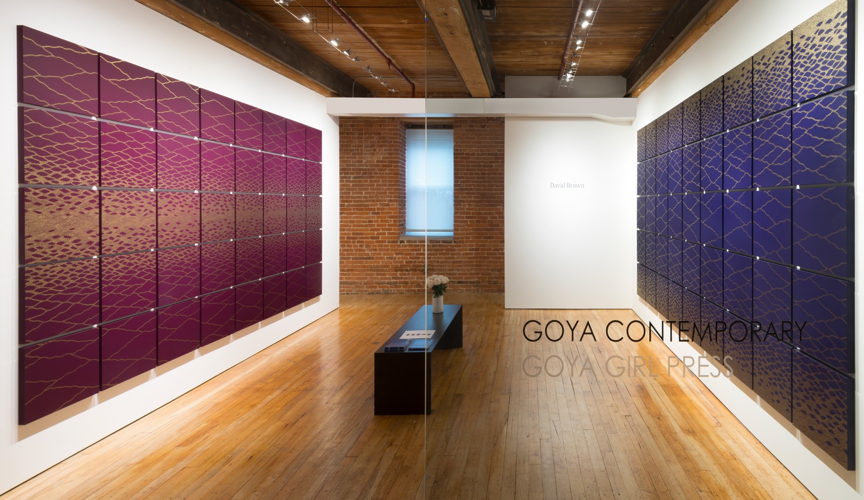 David Brown&amp;nbsp;at Goya Contemporary, Baltimore, MD.