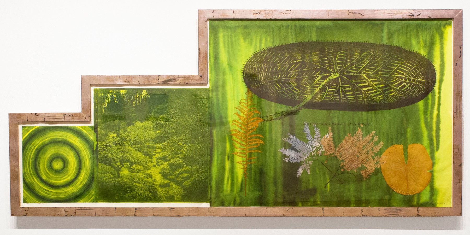 Untitled (Target, Garden, Lily Pad), 2001
Photogravure, etching, lithograph, chine coll&amp;eacute;, hand applied dye
37 x 84 1/2 in. (94 x 214.6 cm)
Edition 17 of&amp;nbsp;30
Pfaf-1003-C-OS
