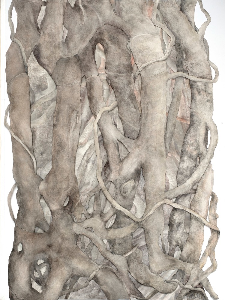 Strangler fig, 2019
Watercolor, archival pigment print on paper, double layered laser cut paper
39 x 28 1/2 in. (78.7 x 111.8 cm)
Neil-1024-C