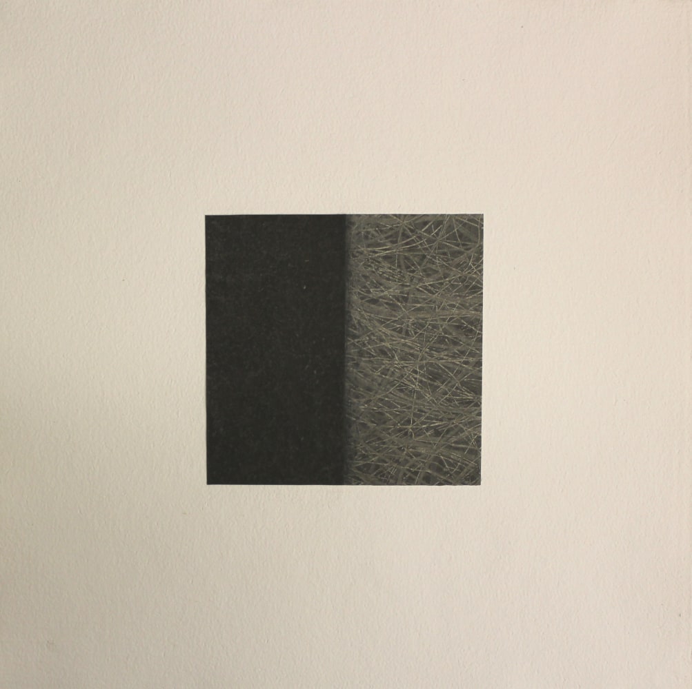 Mudra 189-09-P, 2009 
Monoprint
18 x 17 3/4 in. (45.7 x 45 cm)
Shap-0082-C