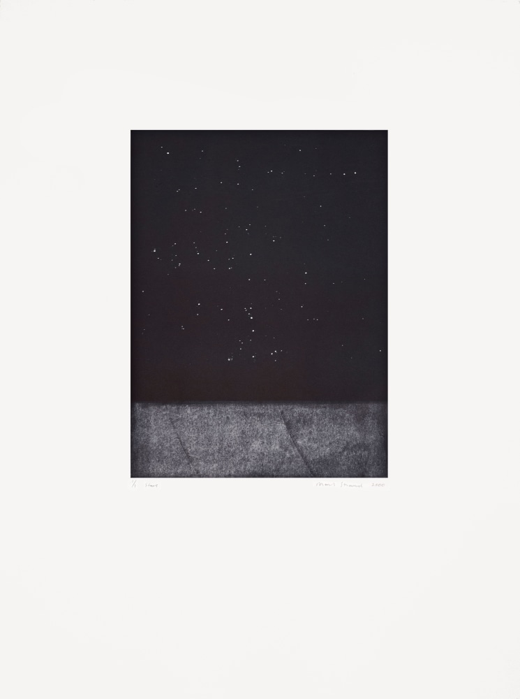 Stars,&amp;nbsp;2000

Monotype

30 x 22 1/4 in. (76.2 x 56.5 cm)

Published by Goya Contemporary / Goya-Girl Press

STR-0056-CO