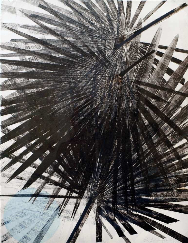 Palmetto Series #25,&amp;nbsp;1989

Monotype on Arches paper

30 3/4 x 25 3/8 in. (78.1 x 64.5 cm)

Beng-1032-C-OS