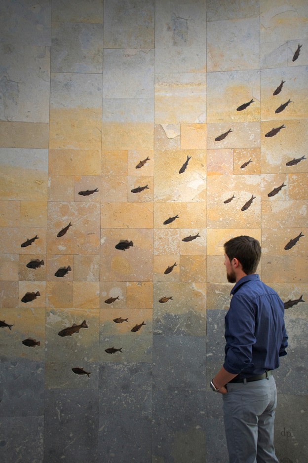 Detail view of a multi-color fossil tile wall containing a school of fossil fish