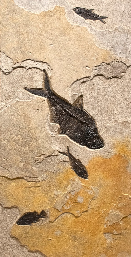 Mural 7003ABC (SOLD)