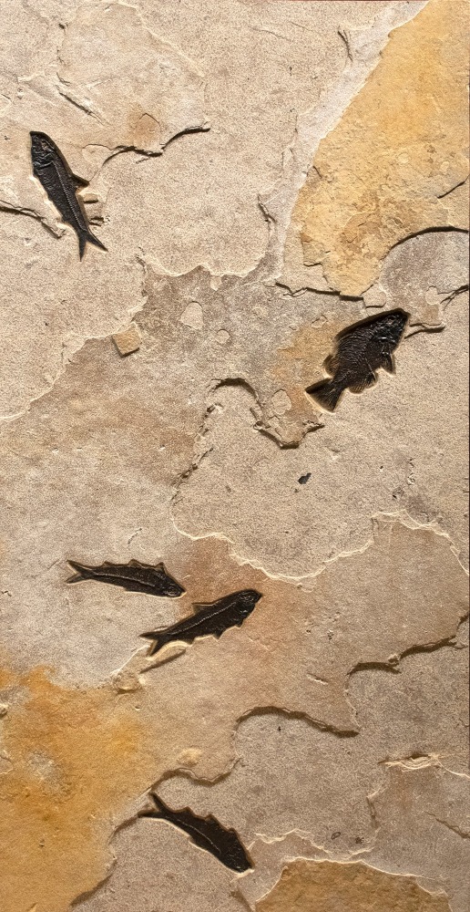 Mural 7003ABC (SOLD)