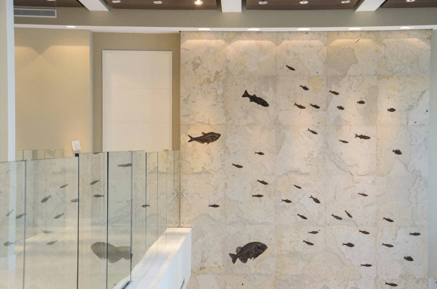 Fossil tile wall contains over 100 fossil fish