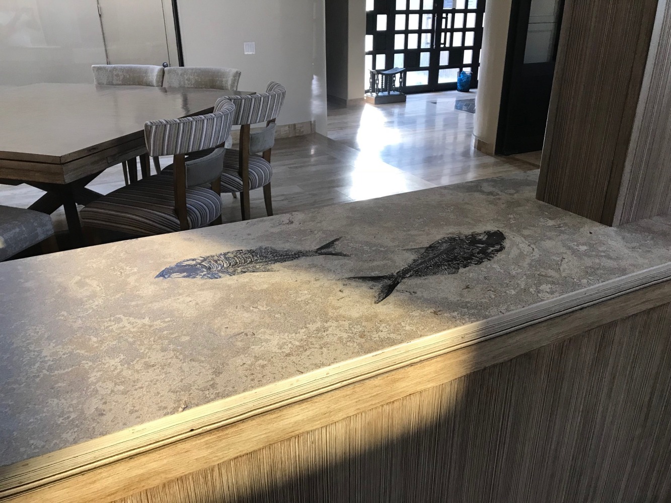 Fossil Backsplashes & Fossil Countertops Custom Interiors Natural