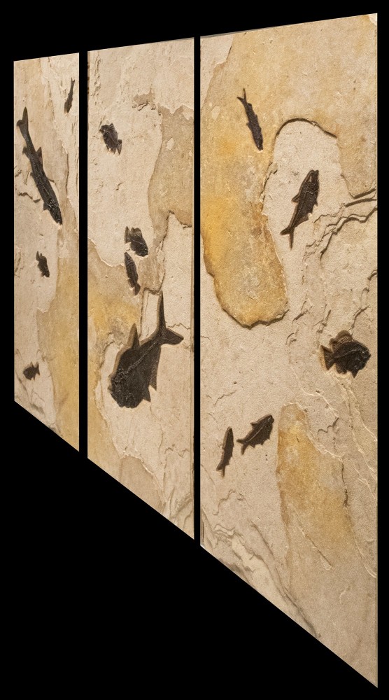 Fossil Triptych Mural 1007ABC (SOLD)