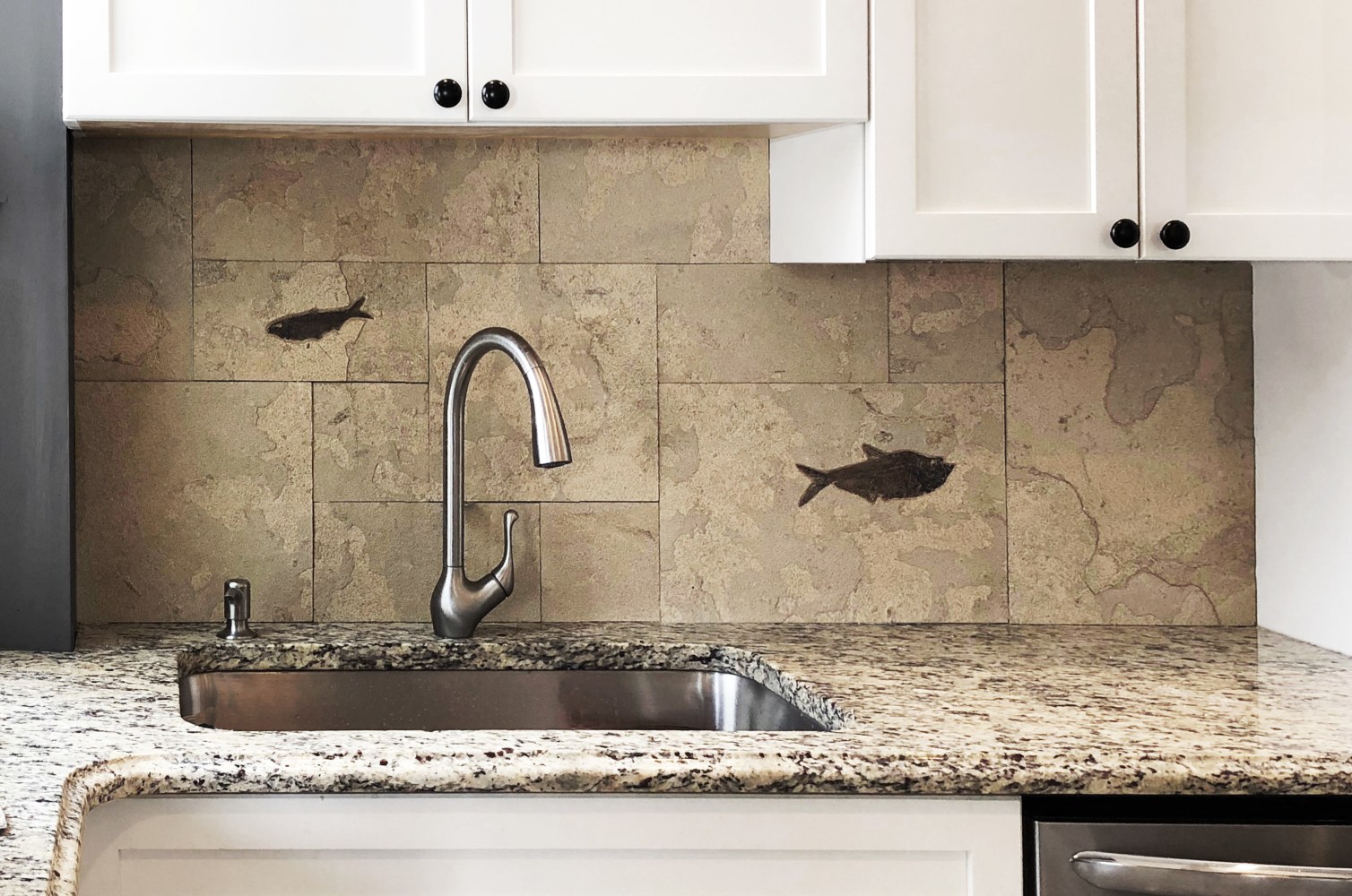 Fossil fish tiles in a &quot;Natural Cleft&quot; finish
