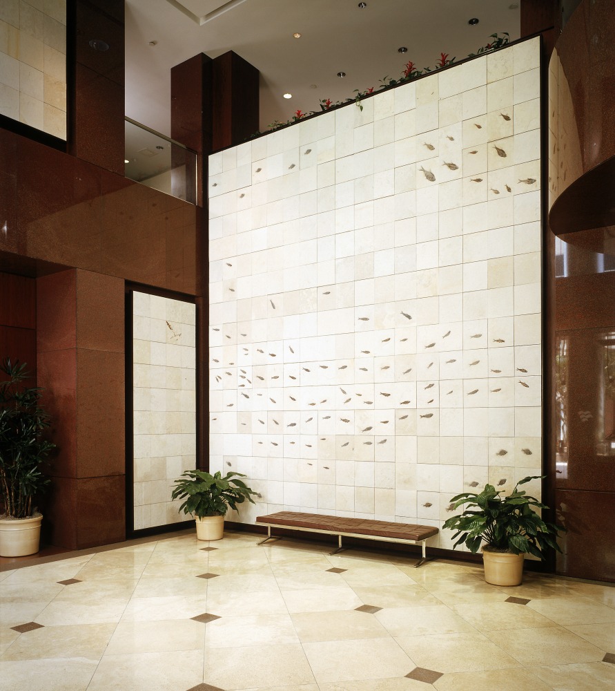 Commercial Applications For Fossils