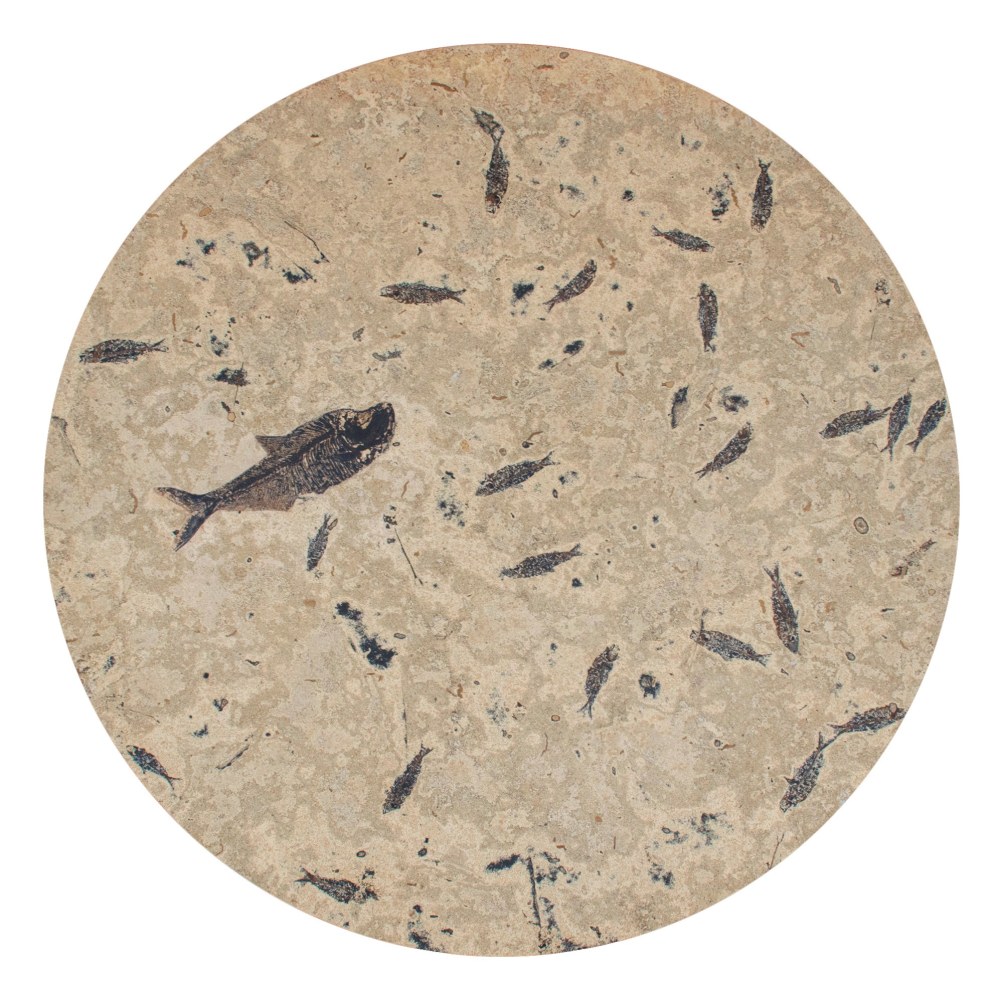 Round Fossil Dinning Table 8064