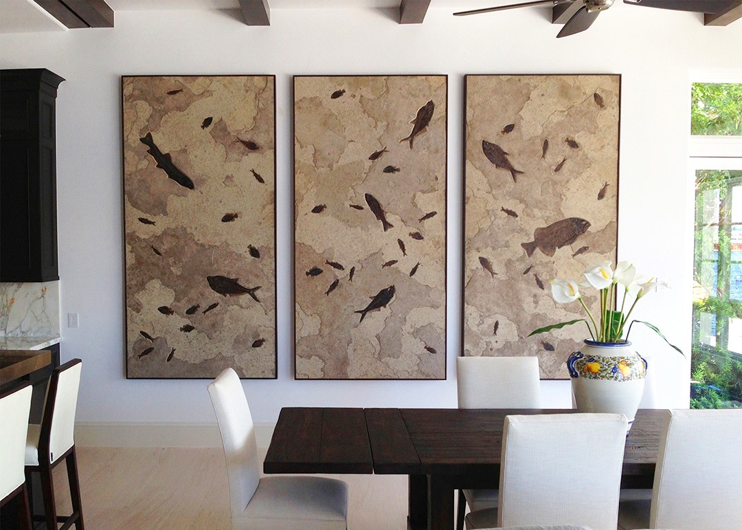 A giant fossil triptych containing large and small fossil fish highlight this living room wall