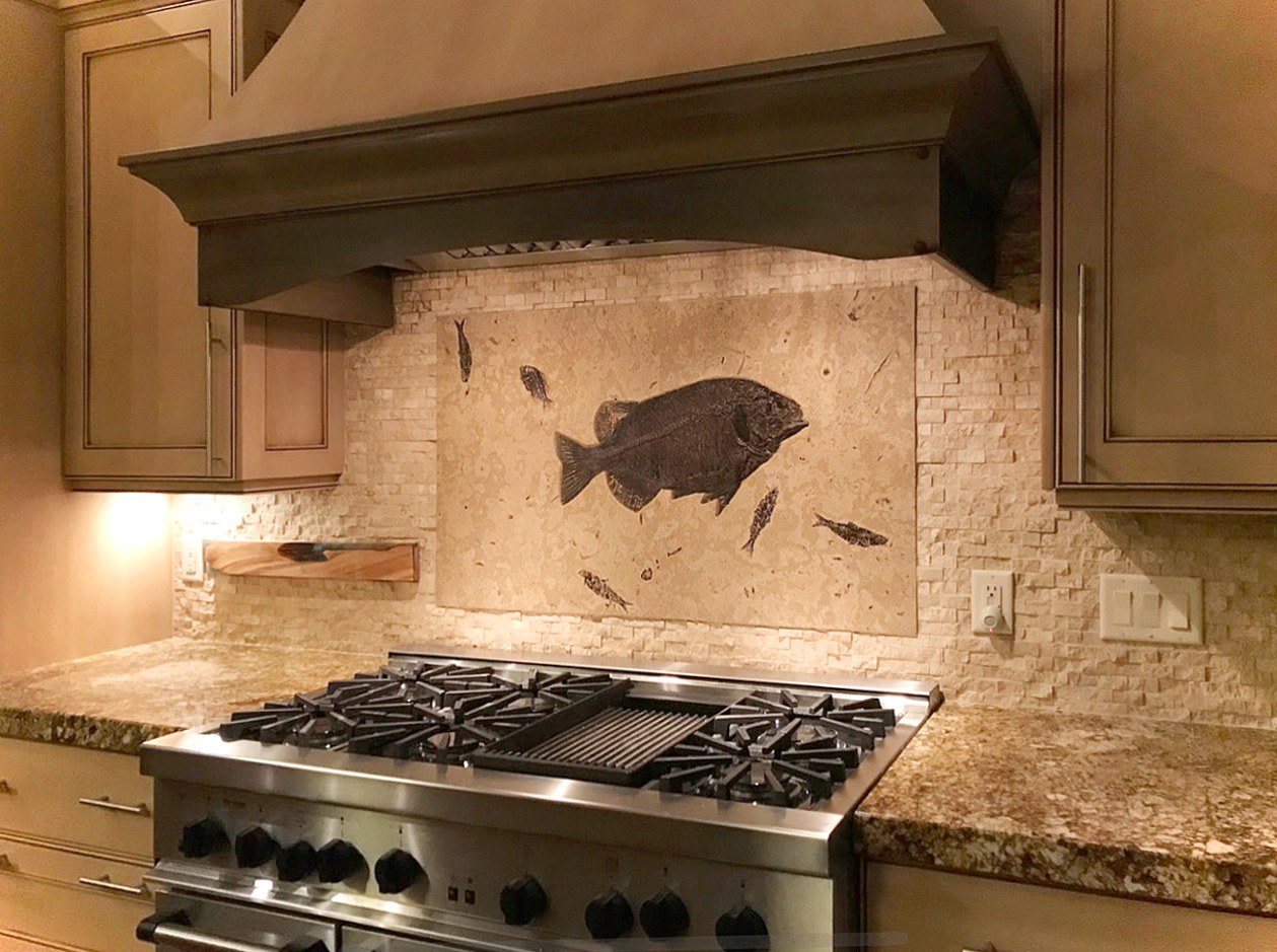Large Fossil Tile Backsplash Containing a rare Phareodus encustus.
