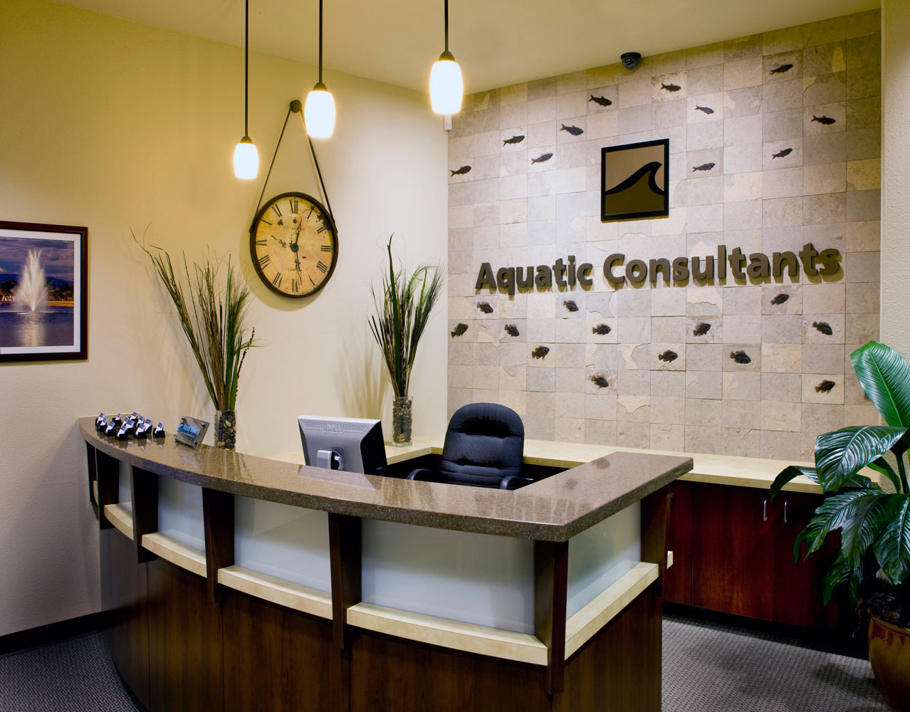 Commercial Applications For Fossils