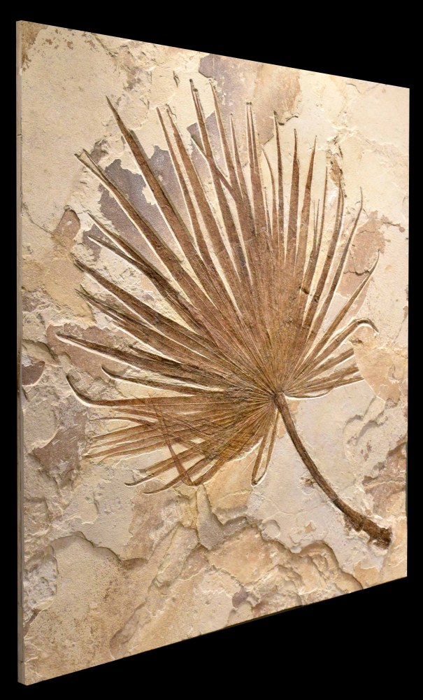 angled view, no frame