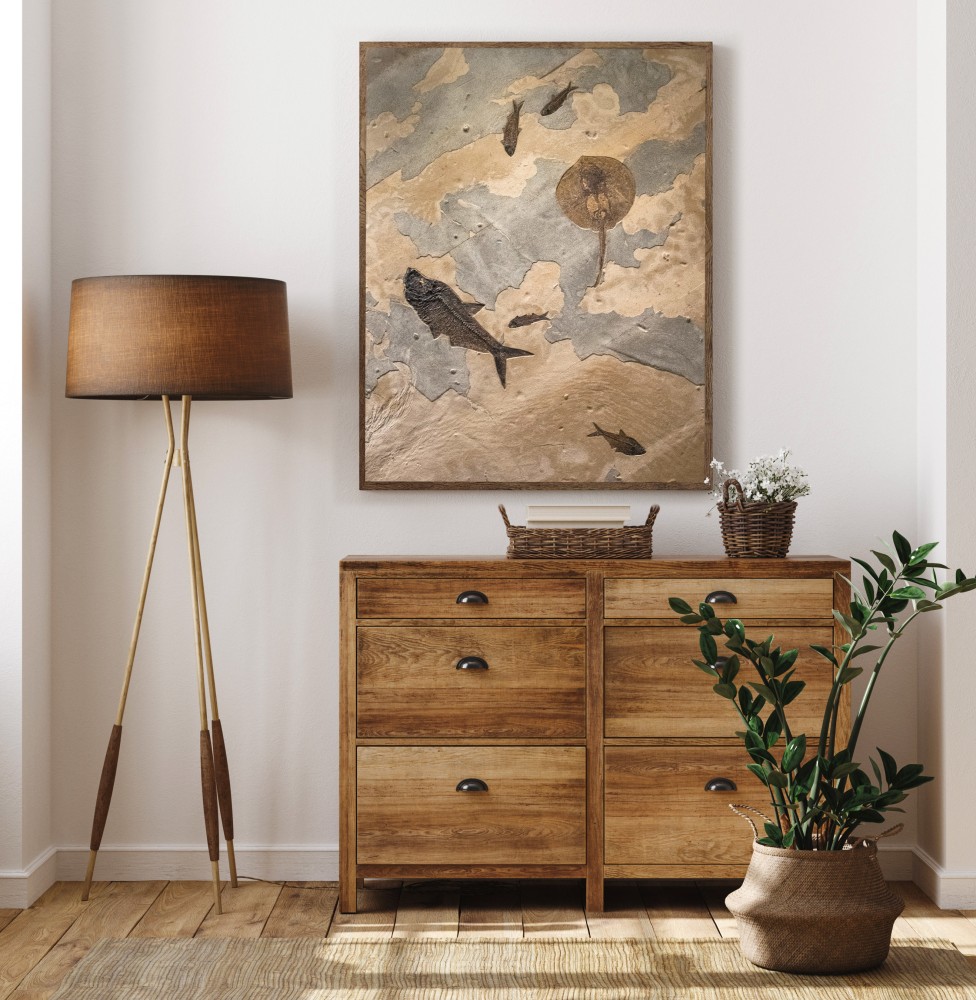 A 4' x 3' Fossil stone mural containing a rare stingray with other fossil fish, hangs in a beautiful natural light setting