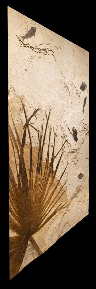 Fossil Palm and Fish Mural 9081cm (SOLD)
