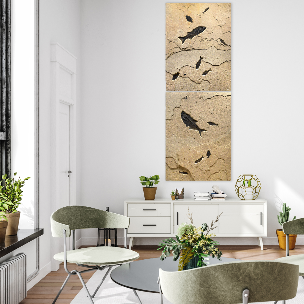 Fossil Fish Diptych 3778ab