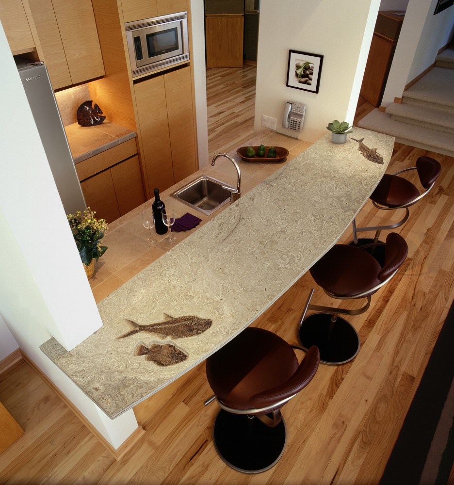 Fossil stone bartop in a honed finish with fossil fish in shallow relief