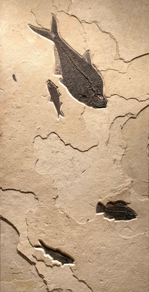 Right Panel