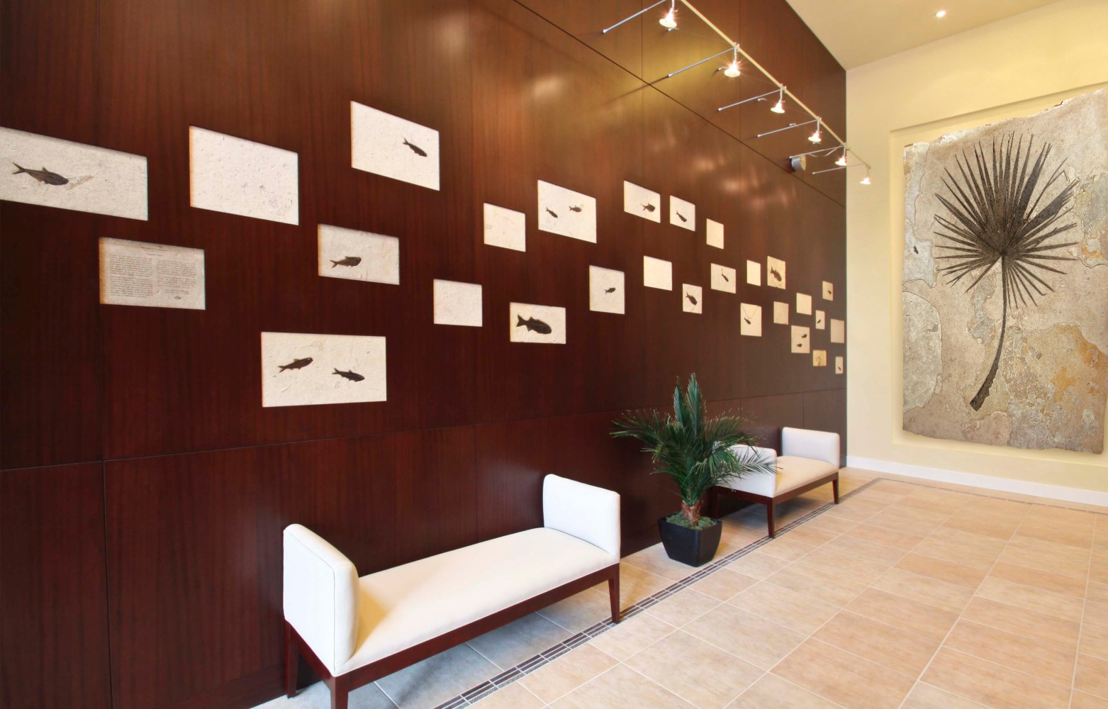 Commercial Applications For Fossils