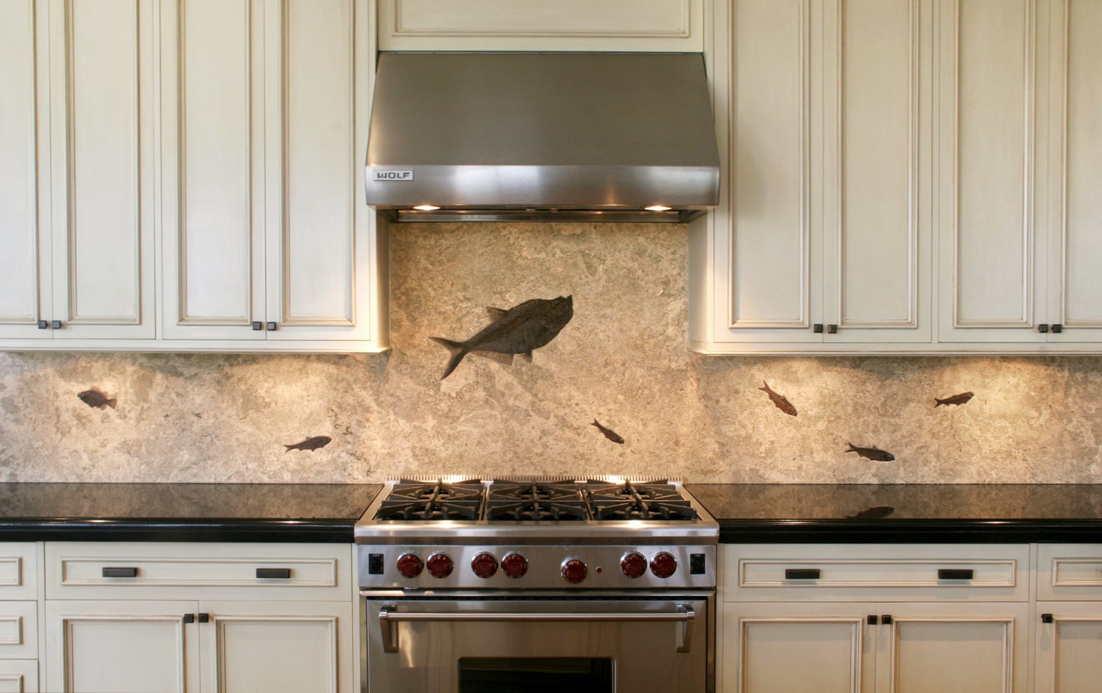 Fossil Backsplashes & Fossil Countertops Custom Interiors Natural