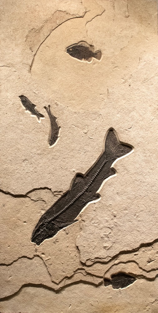 Left Panel