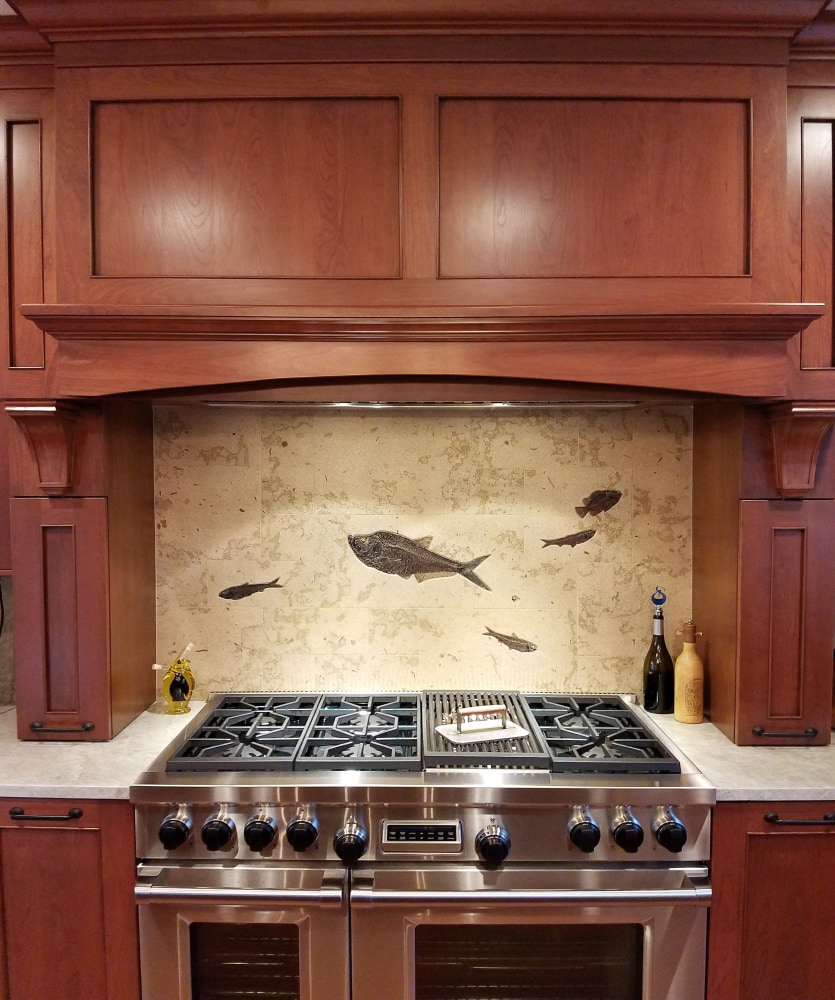 Fossil fish backsplash made from large honed limestone tiles