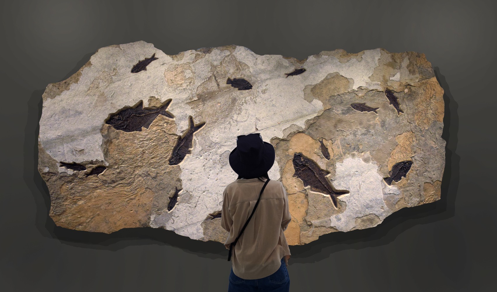 Fossil Fish Mural 7002Gm (SOLD)