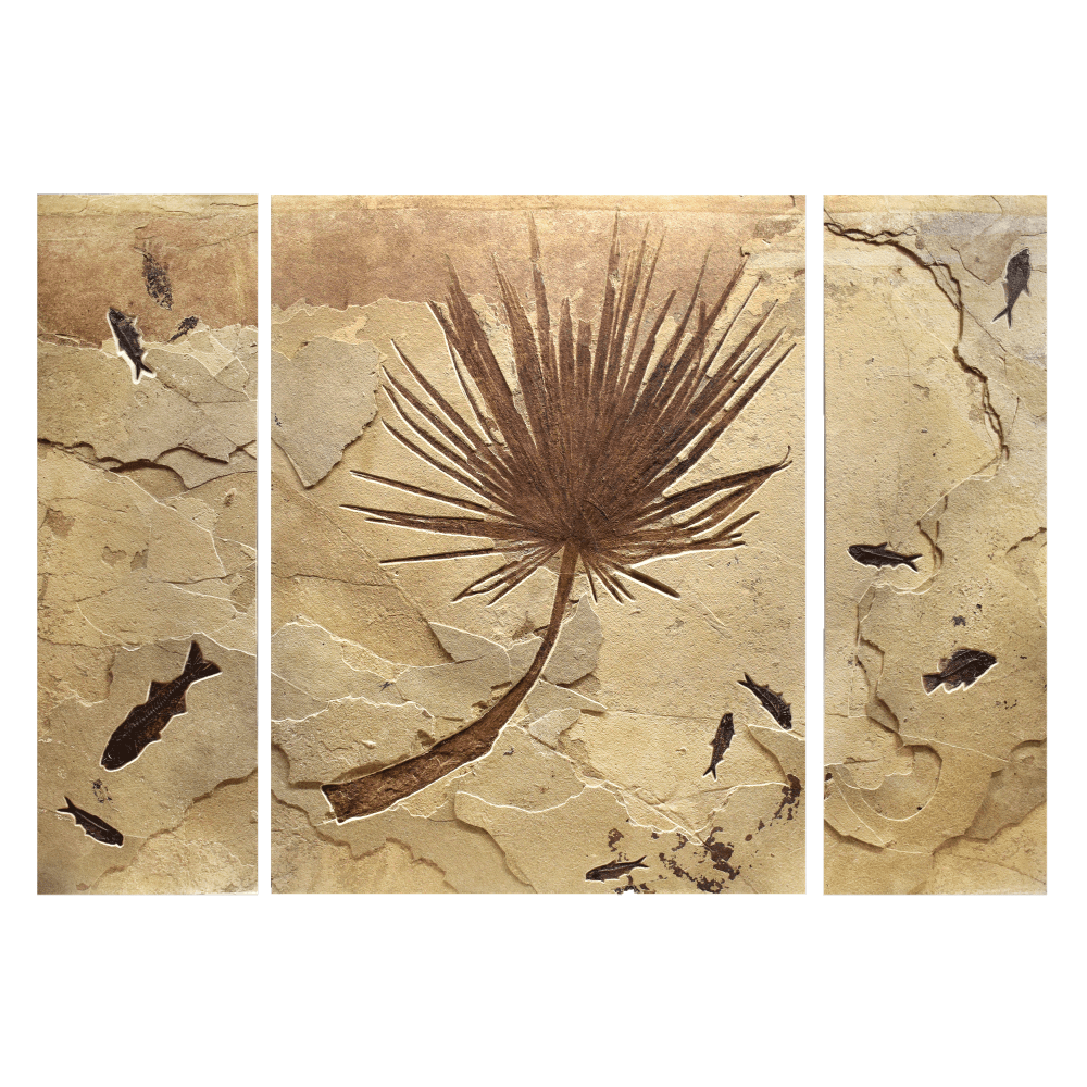 Fossil Palm and Fish Triptych 3001abc (SOLD)