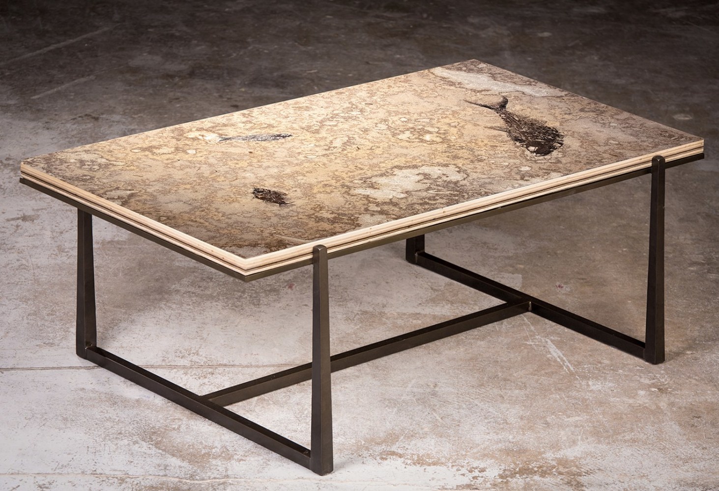 Fossil Coffee Table 9003 (SOLD) A rectanglular coffee table