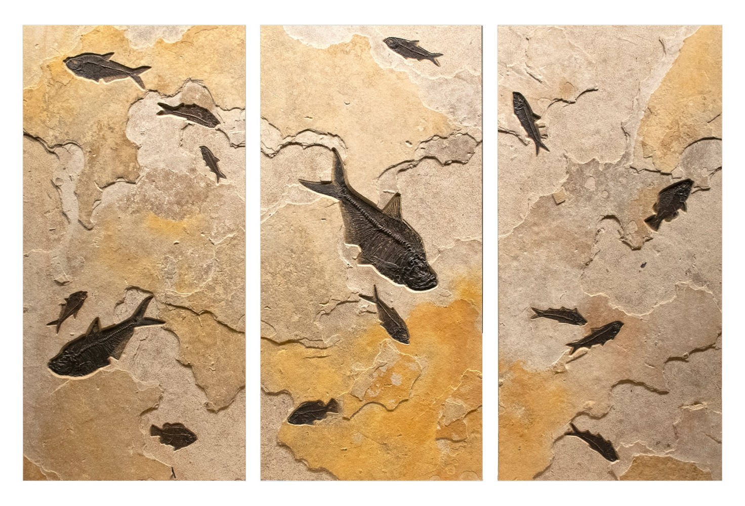 Mural 7003ABC (SOLD)