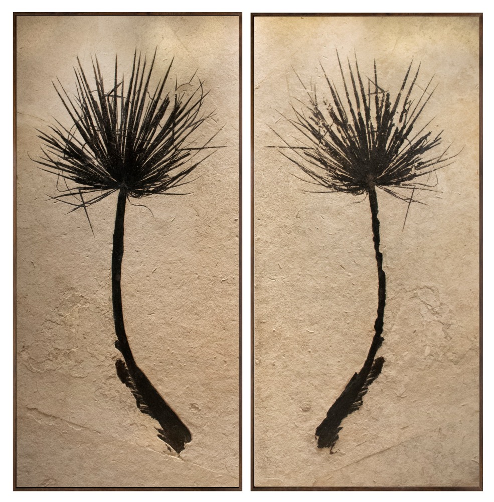 Fossil Palm Mural 6004 &amp; 5003 GM (SOLD)