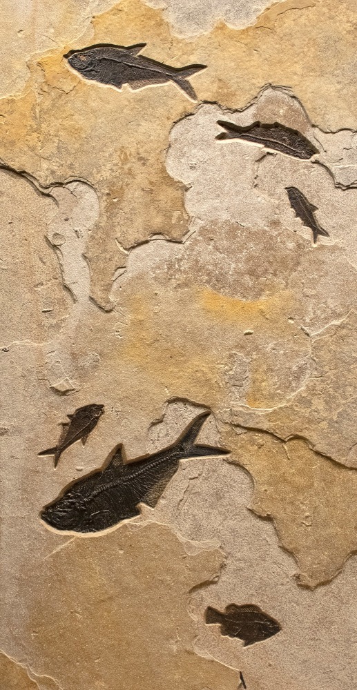 Mural 7003ABC (SOLD)