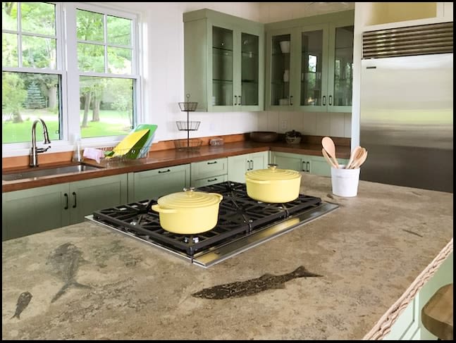 Fossil Backsplashes And Fossil Countertops Custom Interiors Natural Fossil Art And Design 6650