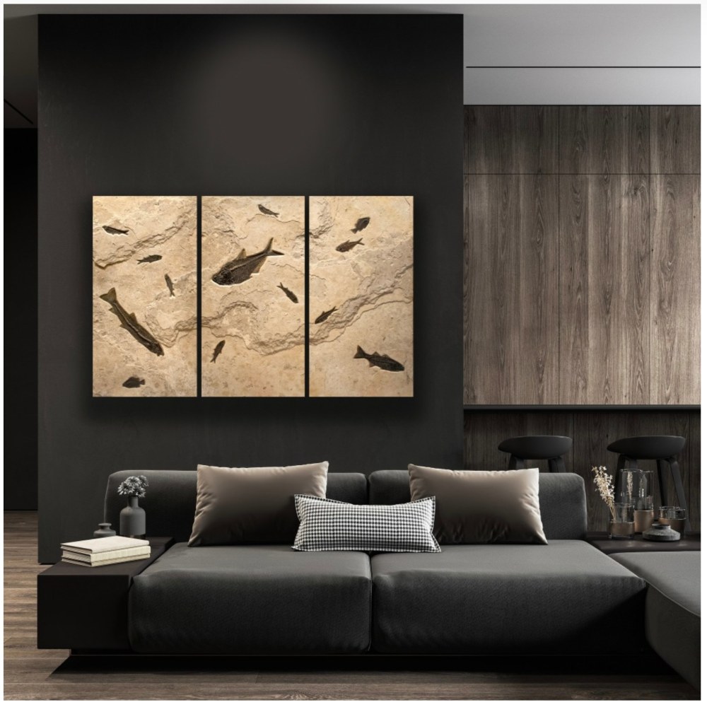 Fossil Fish Triptych 2001ABC (SOLD)