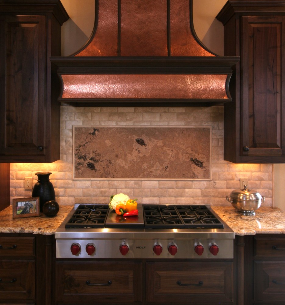 Honed fossil slab containing three fossil fish is used a centerprice tile behind a wolf range