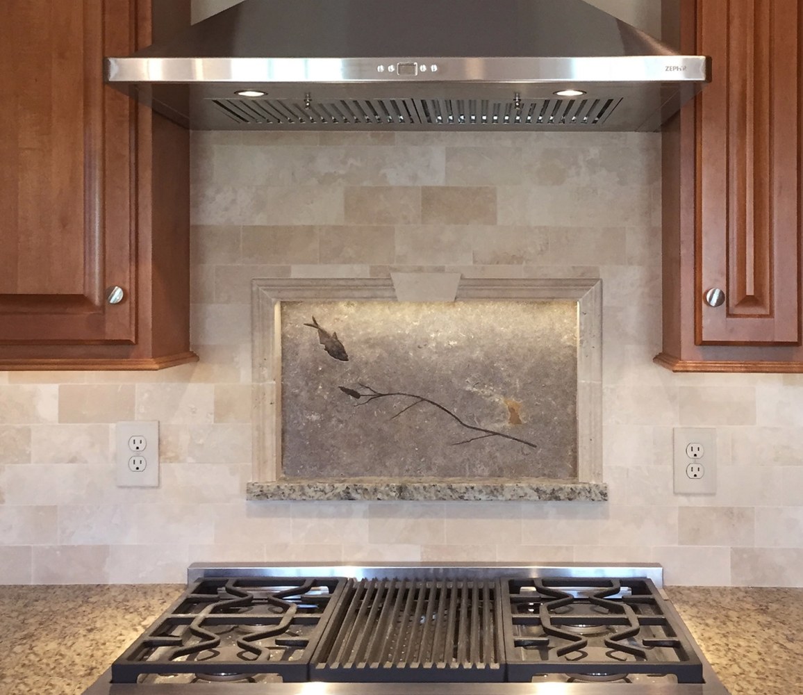 Fossil backsplash containing a rare fossil plant and a fossil fish