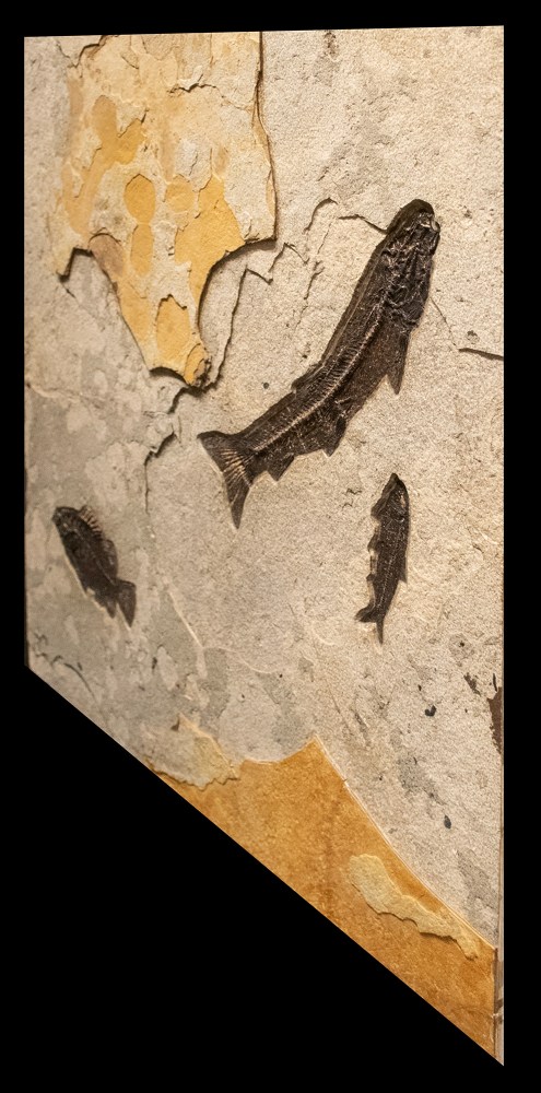 angled view