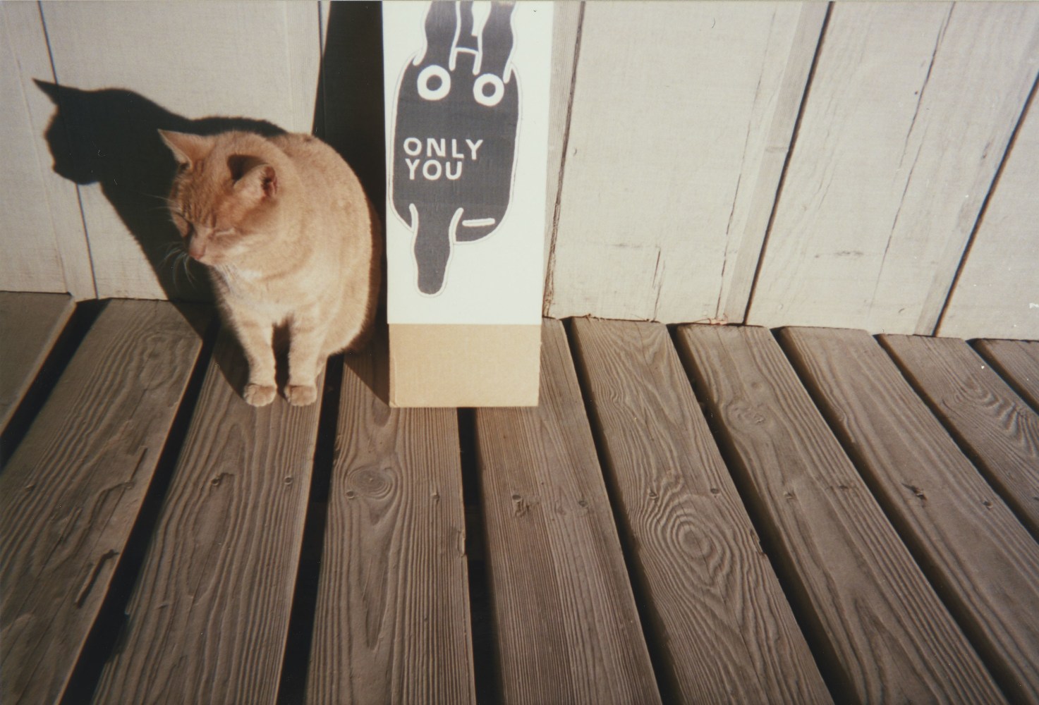 Ray Johnson,&amp;nbsp;Untitled (Cat and ONLY YOU), December 31, 1994,&amp;nbsp;Commercially processed chromogenic print, 6 &amp;times; 4 in., The Morgan Library &amp;amp; Museum