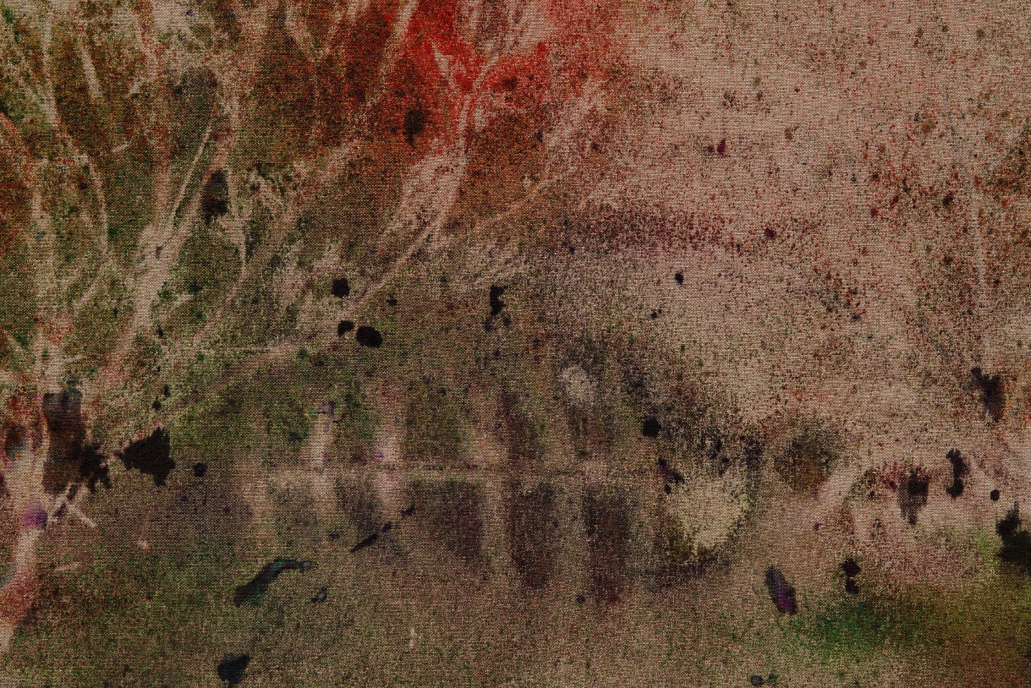 SUPER BLOOM, ANCIENT EARTH (MOJAVE DESERT),&amp;nbsp;2020, Detail