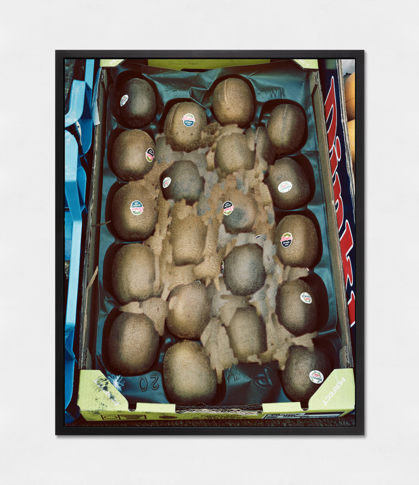 LUCAS BLALOCK  Perfect Kiwis 2017 Archival inkjet print, framed Ed. 2/3 + 2 AP Image 84.5 x 106.5 cm / 33 1/4 x 42 in  BLALO45199