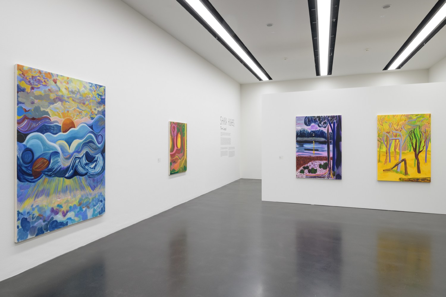 installation view of colorful paintings by Shara Hughes