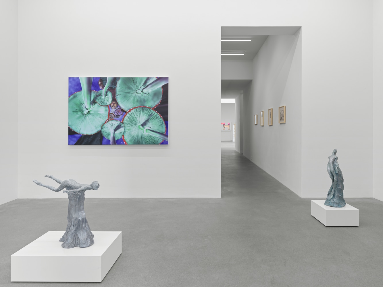 installation views of works by various artist